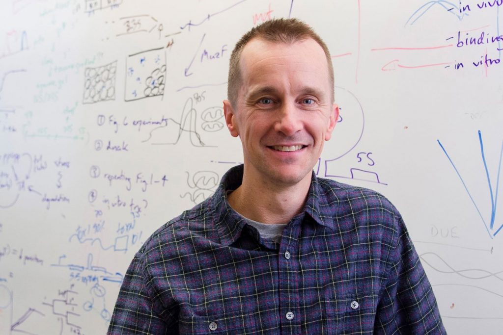 Professor Michael Laub and MIT alumni named 2025 AAAS Fellows