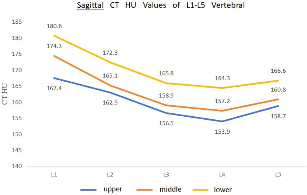 Morphological characteristics of lumbar vertebral bodies and regional distribution patterns of bone mineral density: a CT study