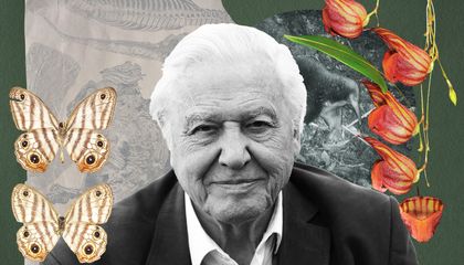 David Attenborough Has Inspired Countless Scientists. To Mark His 100th Birthday, Here Are Ten Living Things They’ve Named After Him