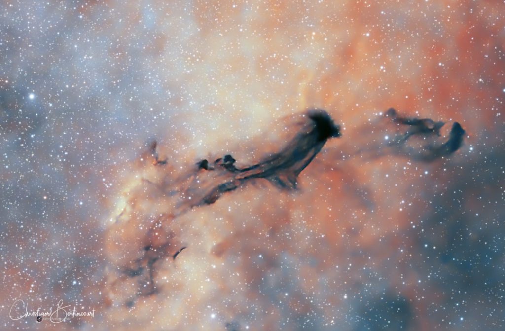 What Is NASA’s Artemis Program? Exploring the Universe